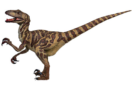 http://www.niklasvanthorn.de/apps/files/deinonychus_1.jpg